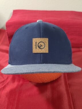 tentree Navy and Light Blue Flat Brim Hat with Cork Patch